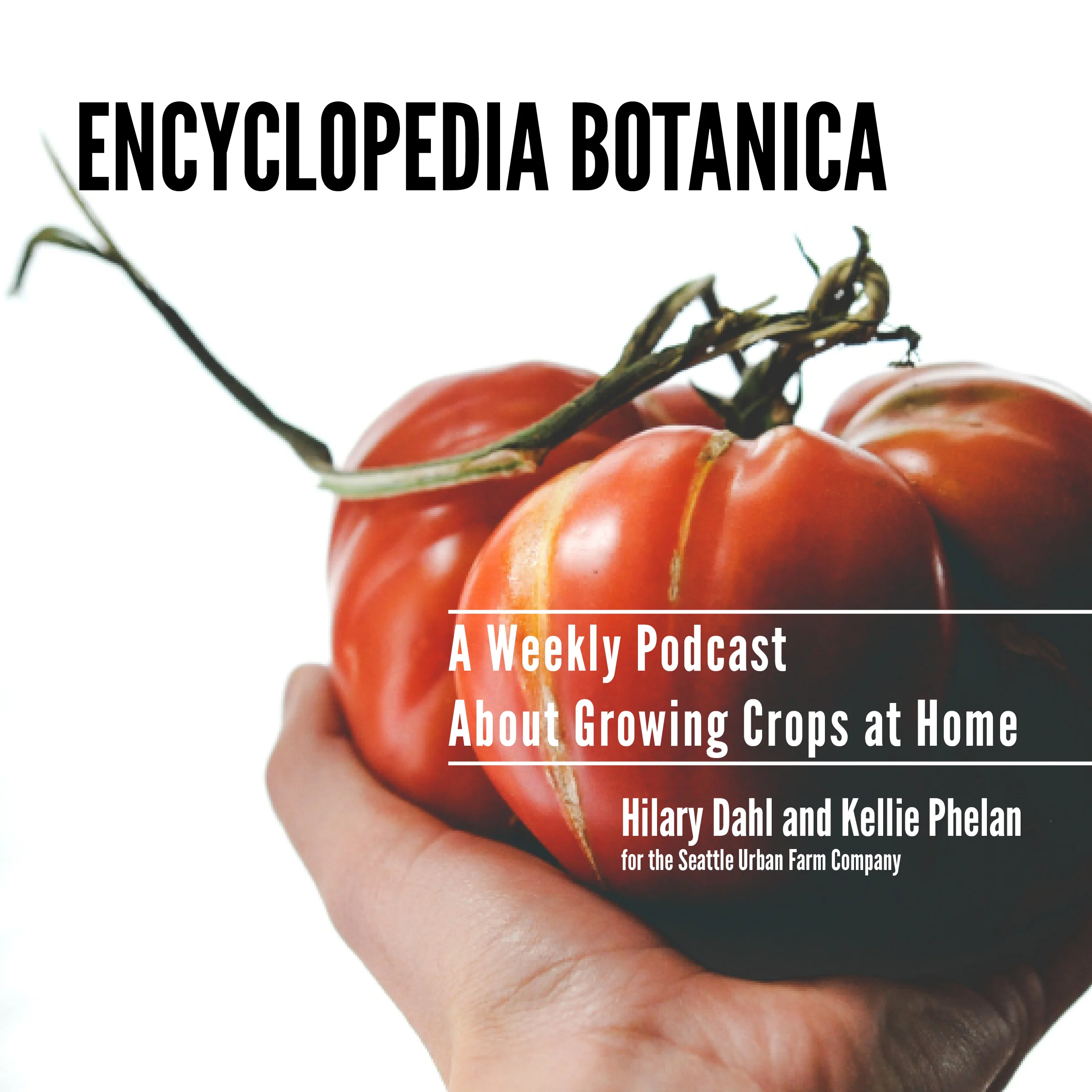 Episode 13: Winter Squash