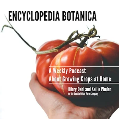 Encyclopedia Botanica Podcast, Episode 21: Microgreens