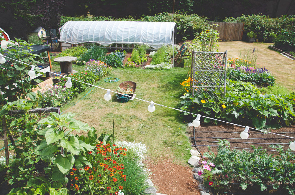Organic Flower Garden Encyclopedia