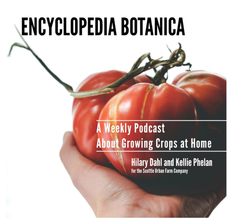 Encyclopedia Botanica Podcast, Episode 45: Cucumbers with Jeanne Nolan