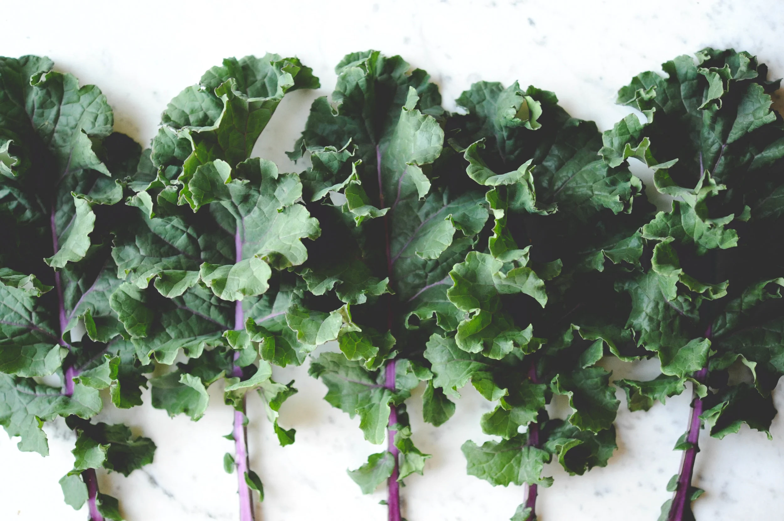 Kale_Pest Prevention.jpg