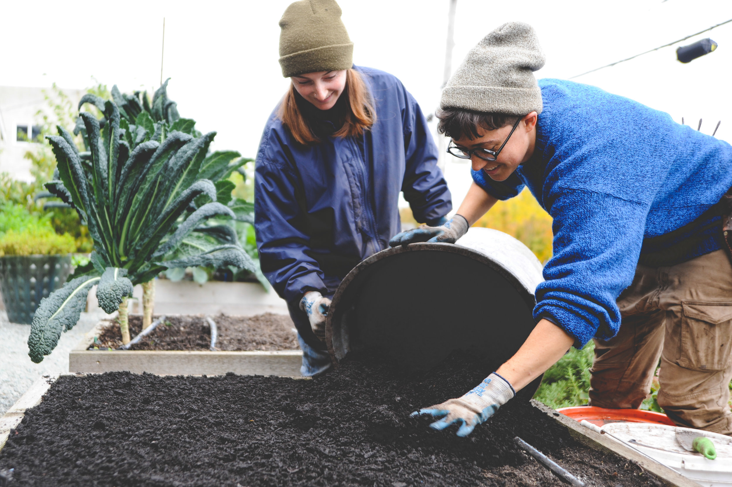 5 Ways To Prepare Your Garden For Winter Seattle Urban Farm Company