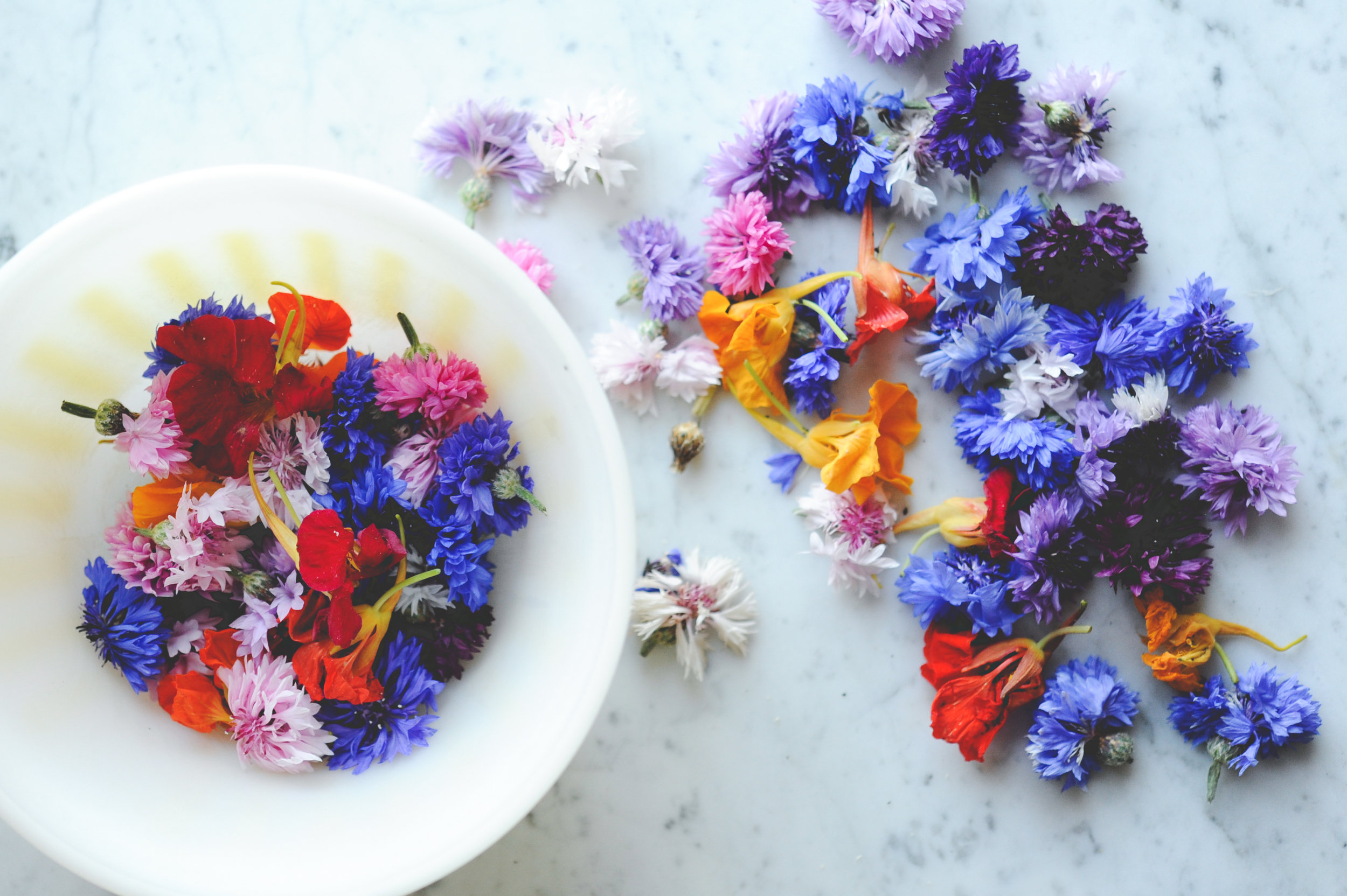 Episode 100: Edible Flowers with Rosalind Creasy