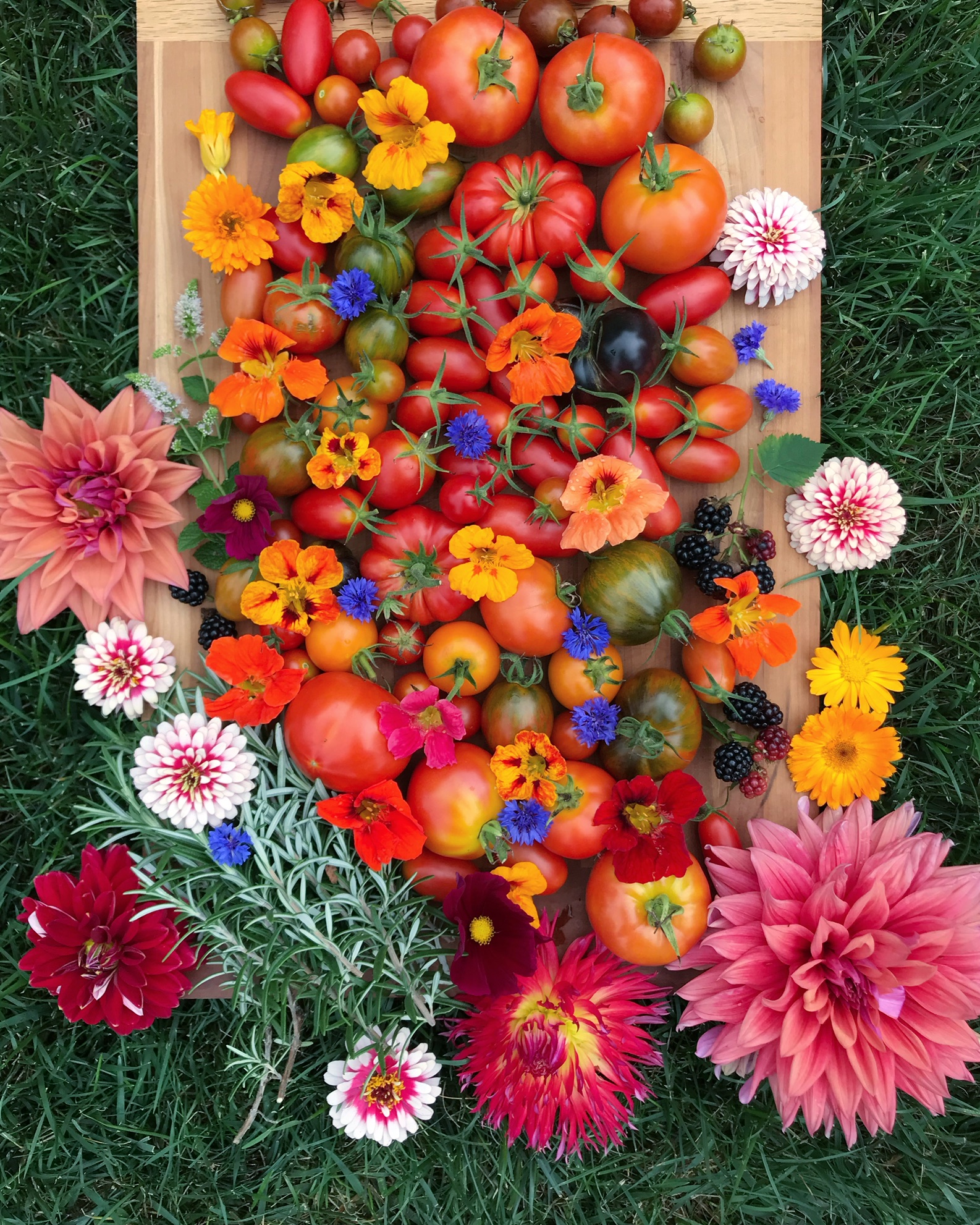 Summer harvest display by Sara Gasbarra