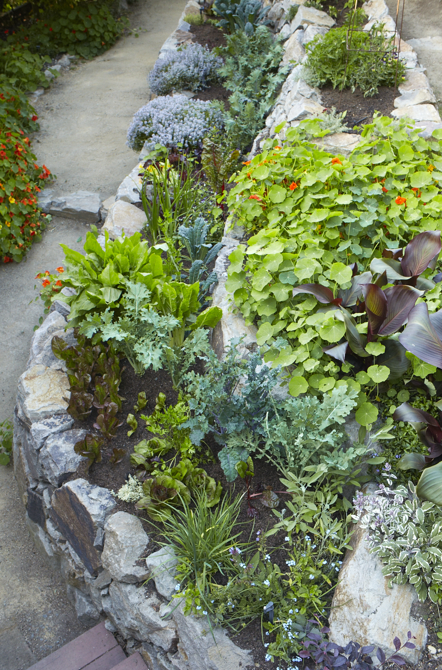 Stone terraced vegetable garden