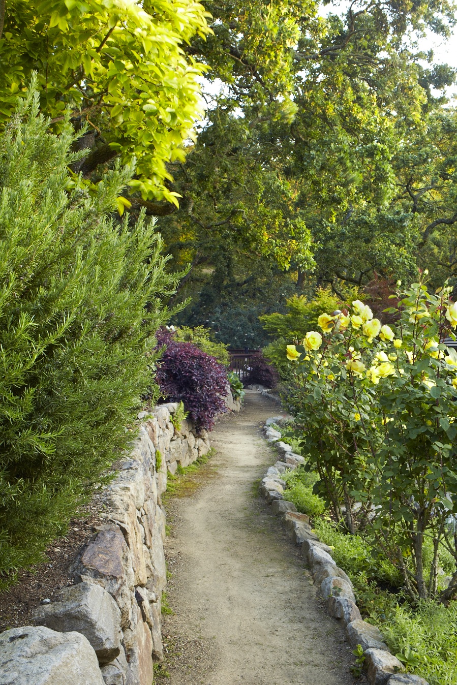 Garden Pathway