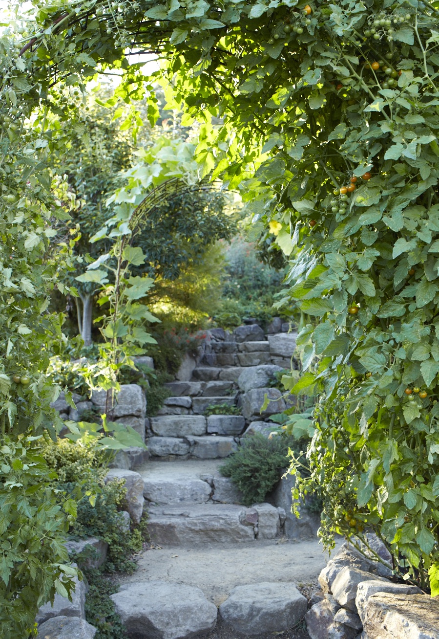 Stone steps and trellises