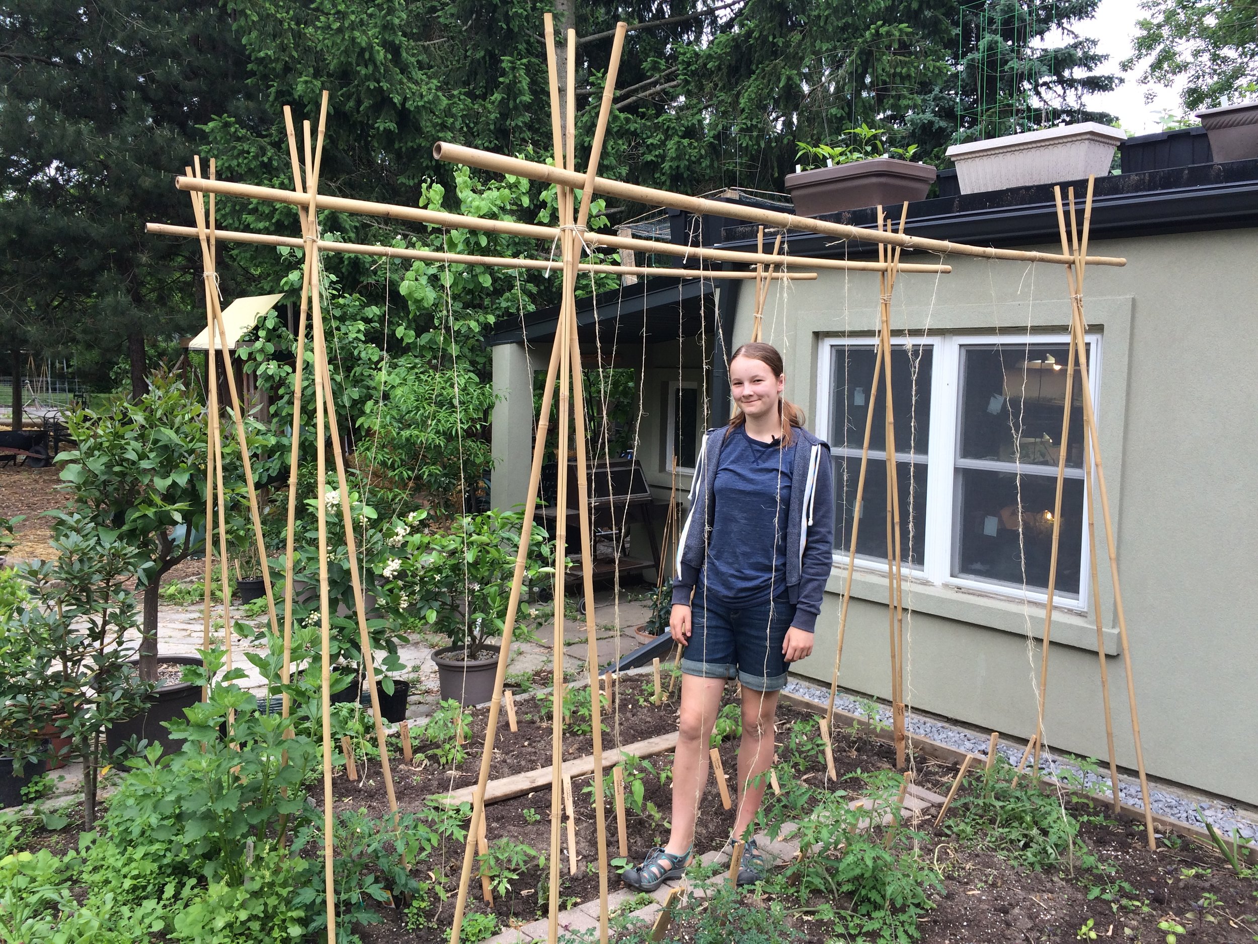 Emma Biggs in her tomato garden