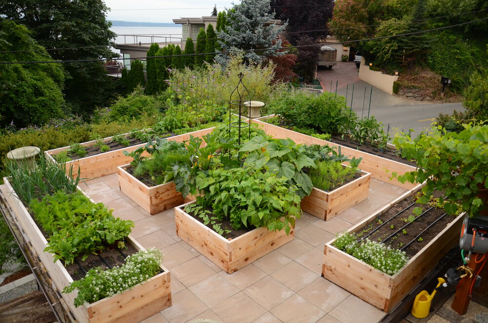 To Build Wood Framed Beds Or Not, Urban Veggie Garden Ideas