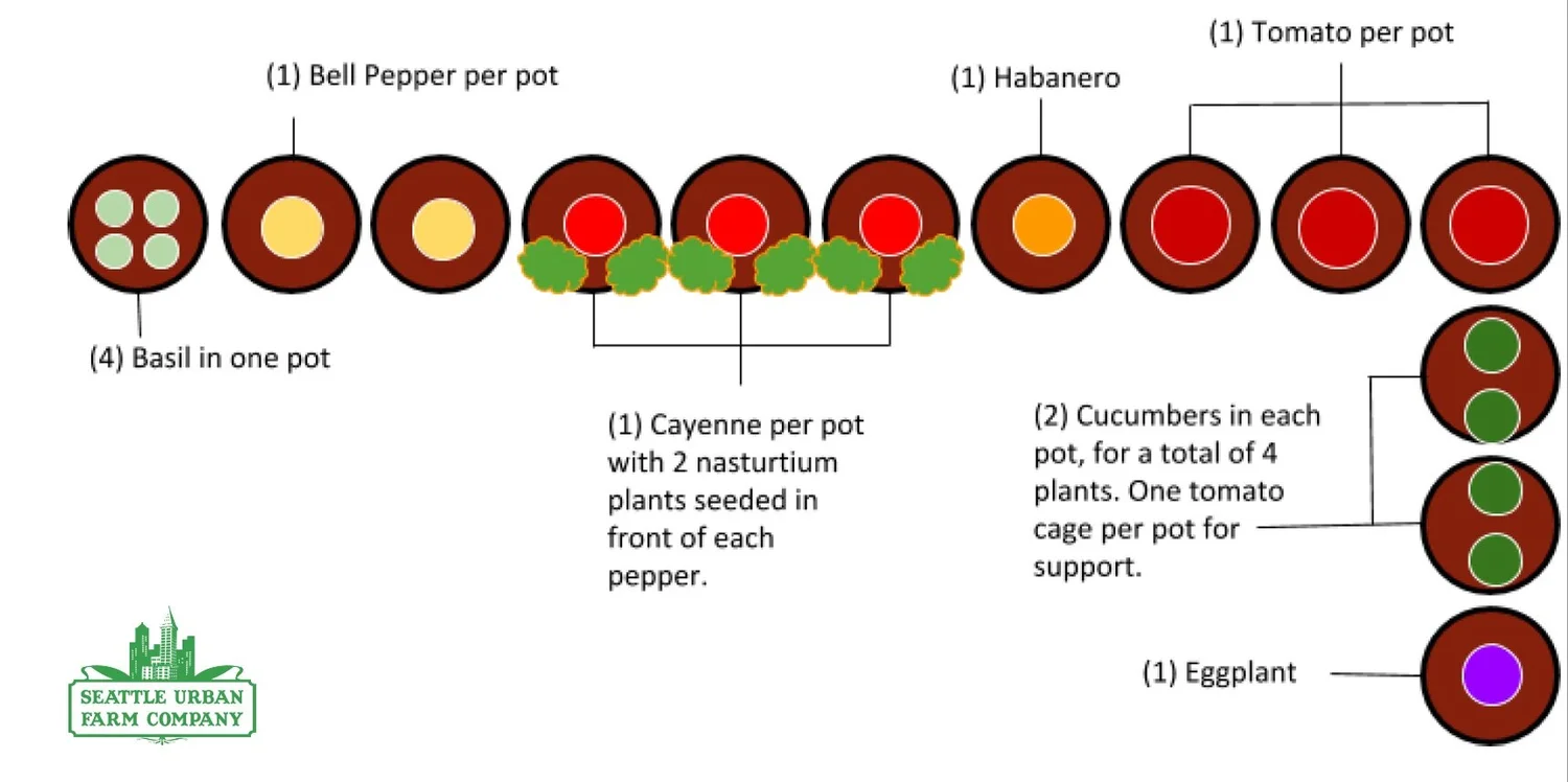 Quick & Easy Container Gardening DIY for Enthusiasts