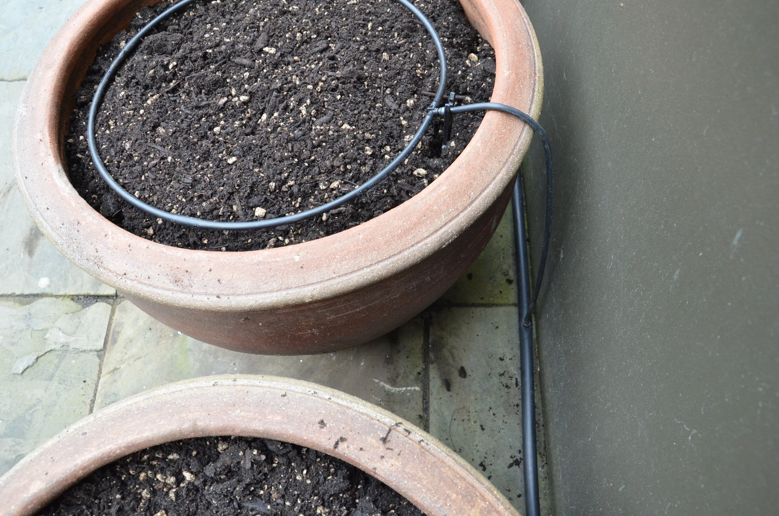 Irrigating Your Container Garden — Seattle Urban Farm Company