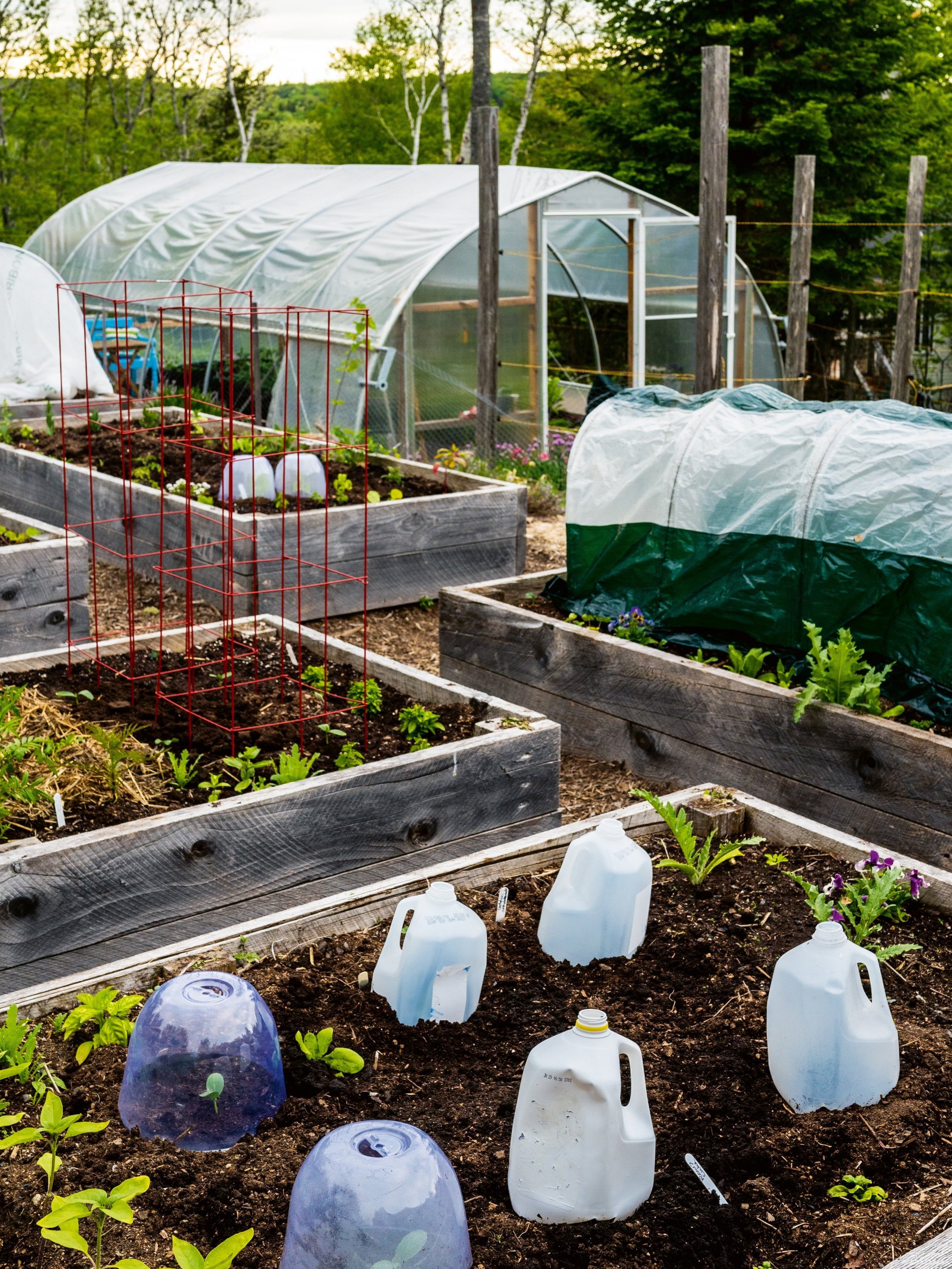 Examples of upcycled cloches, mini hoop tunnels and a caterpillar tunnel