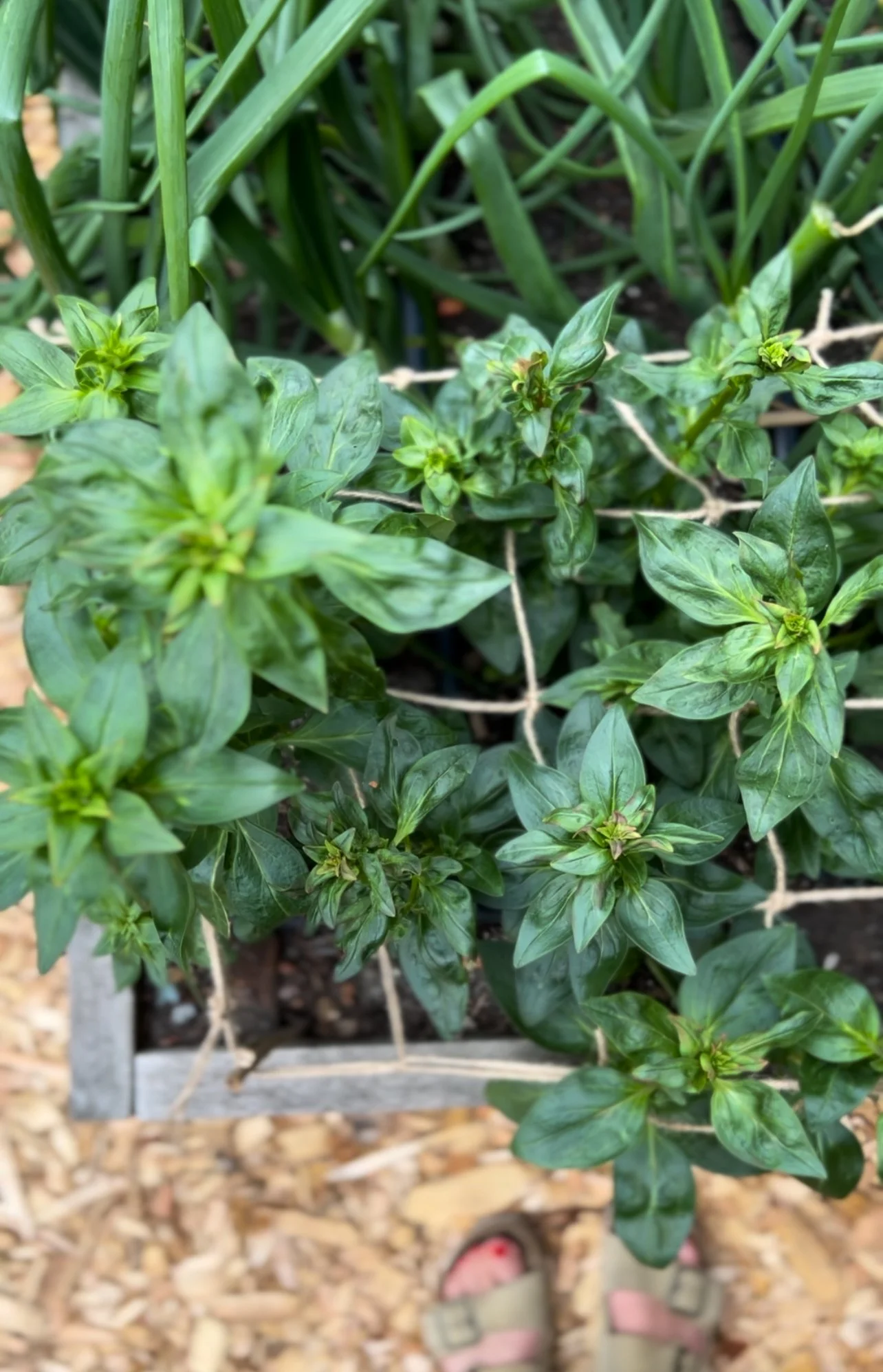 View recent photos 2.jpeg