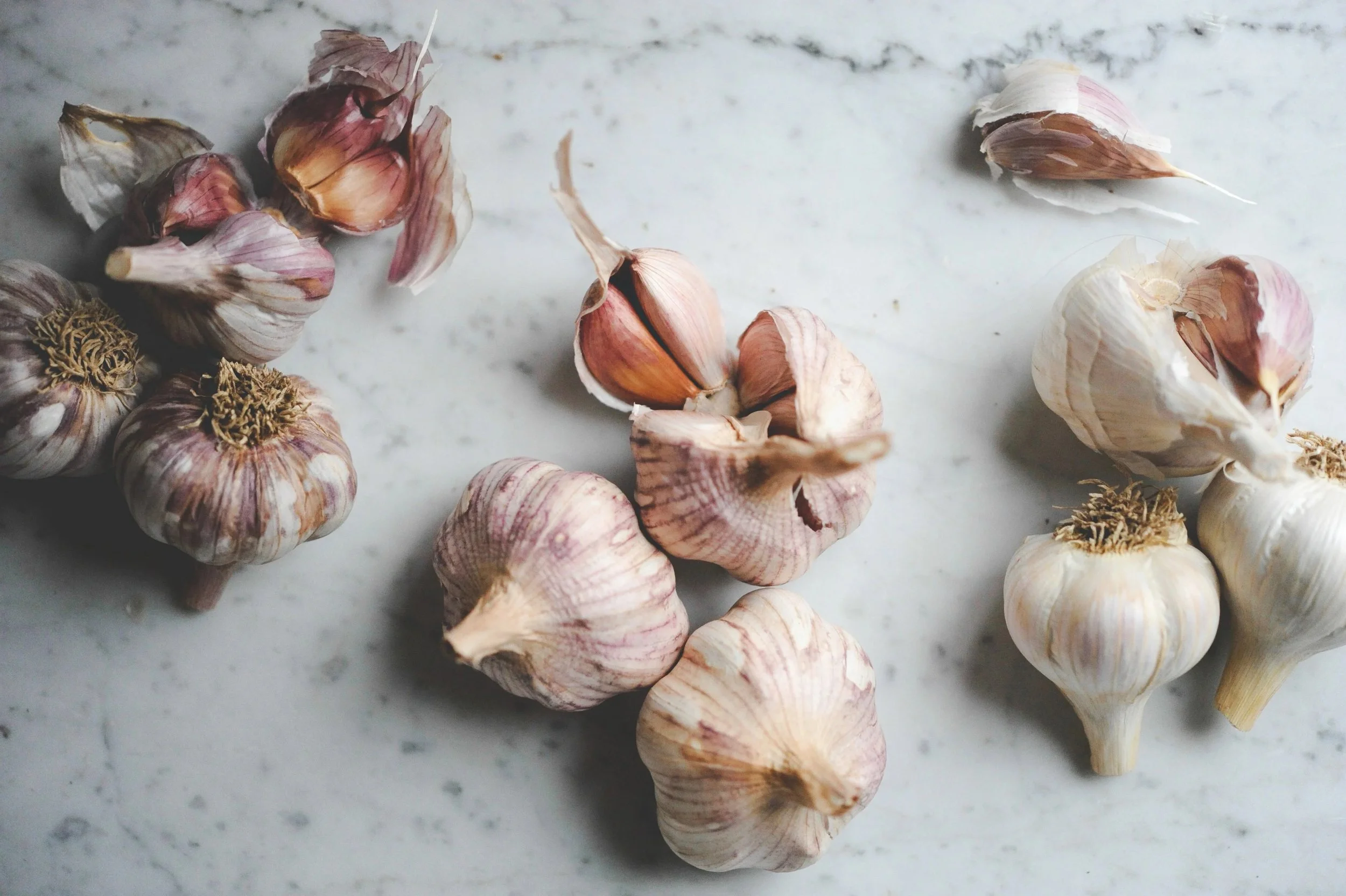 Garlic.jpg