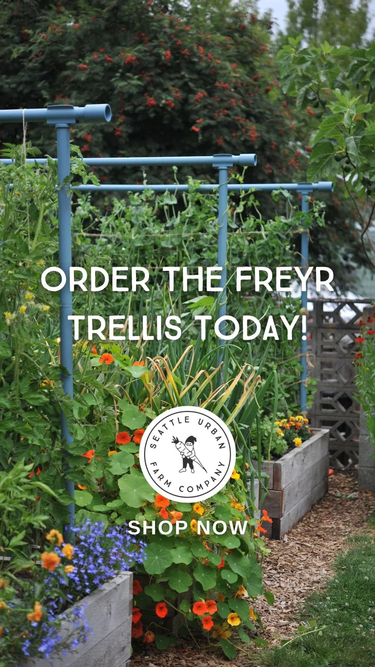 Planting Calendars for Home Gardeners — Seattle Urban Farm Company