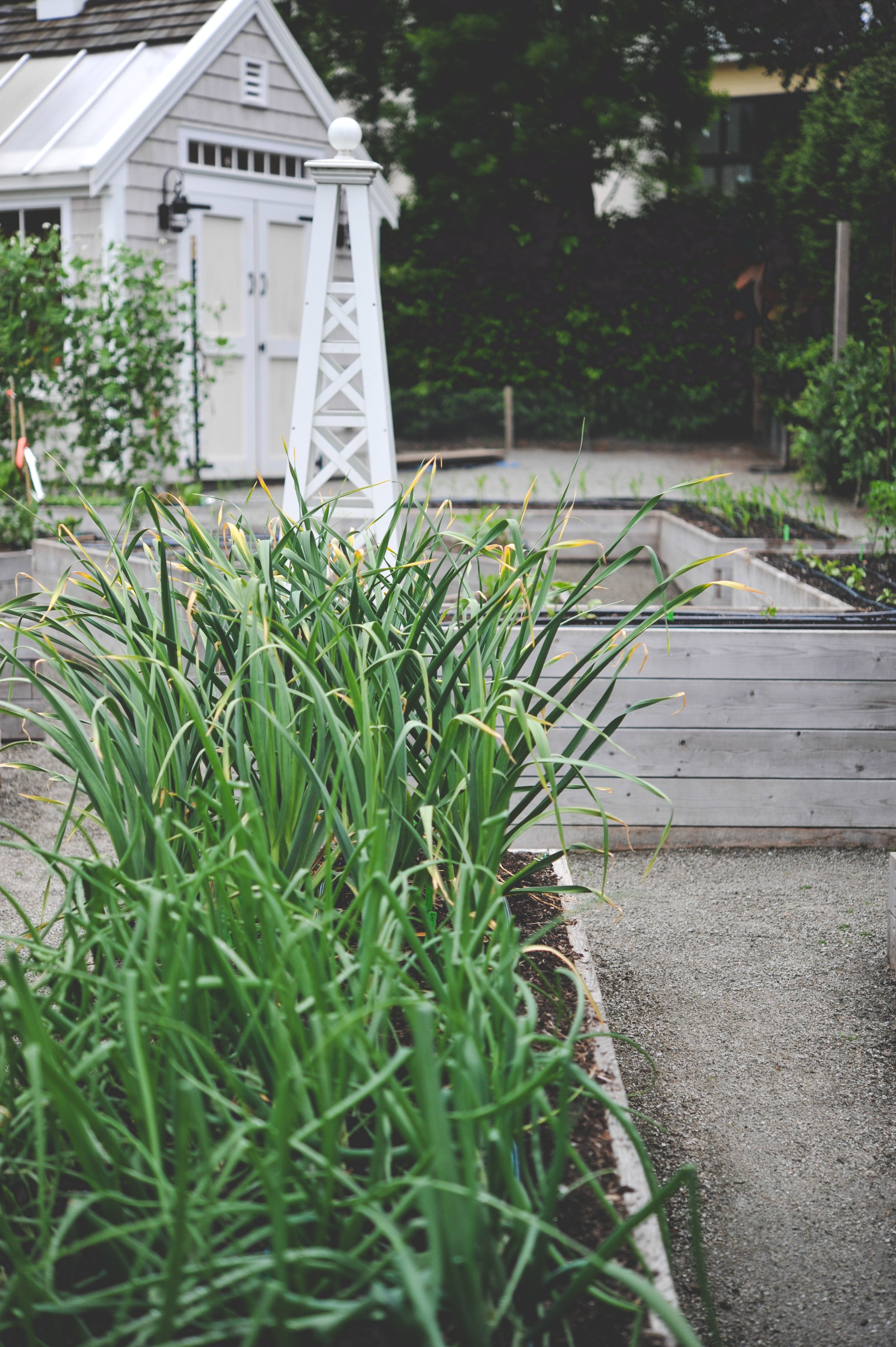 https://shop.seattleurbanfarmco.com/products/grow-more-food-book