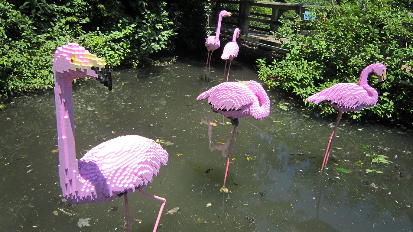 Flamingo_Sculptures-1366x768.jpg