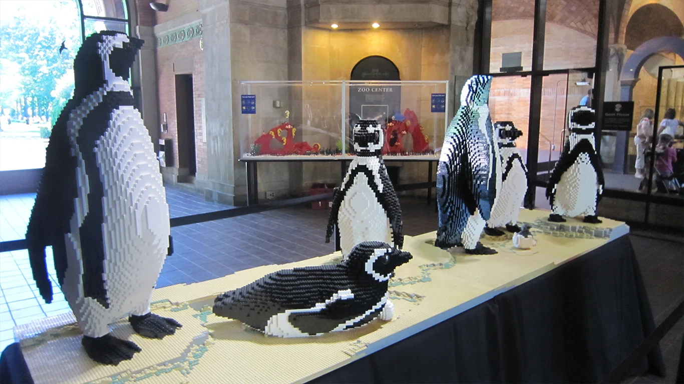 Penguins-1366x768.jpg
