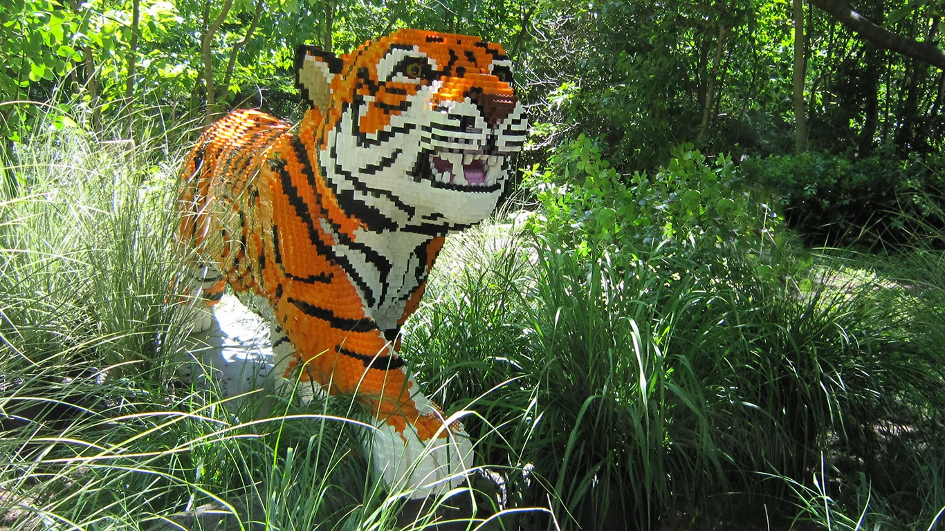 Tiger_Front-1366x768.jpg