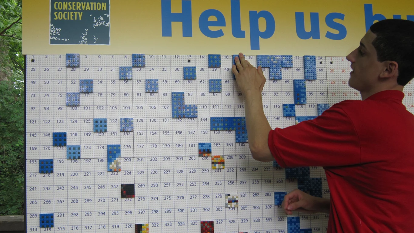 Adding_Tiles-1366x768.jpg