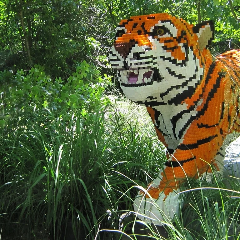 Tiger_Front-1366x768.jpg