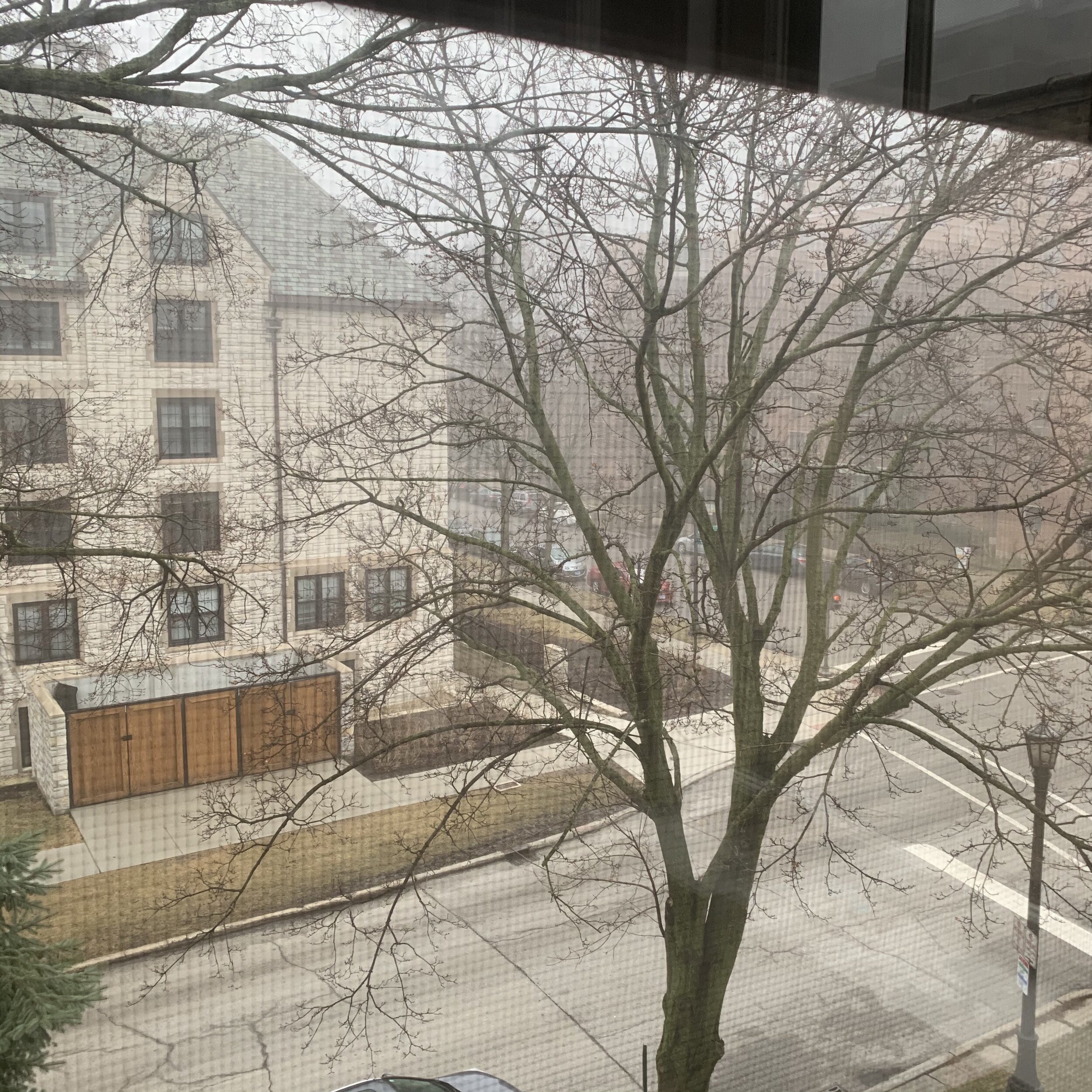 March 19.jpg