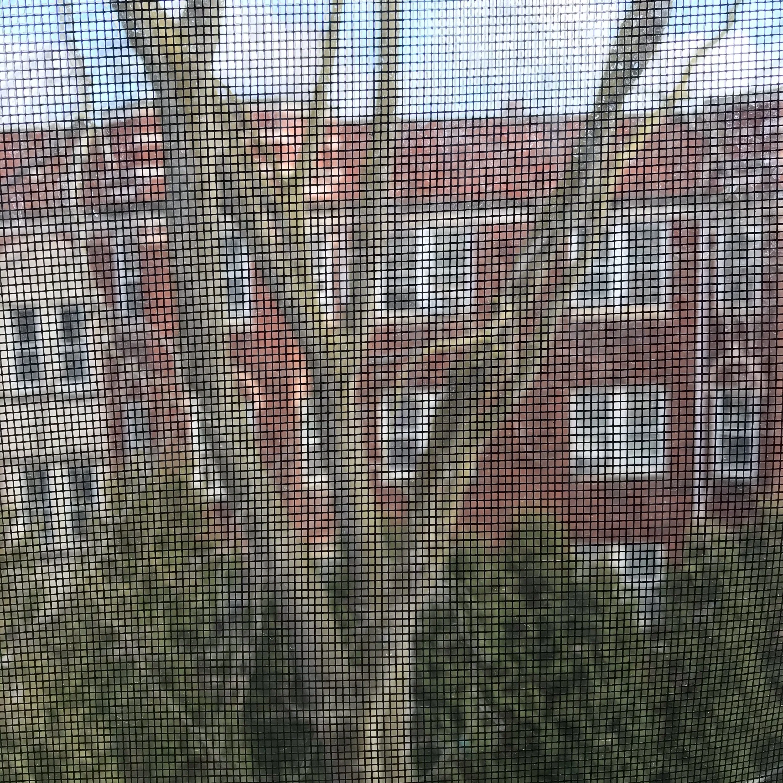 IMG_0277.jpeg