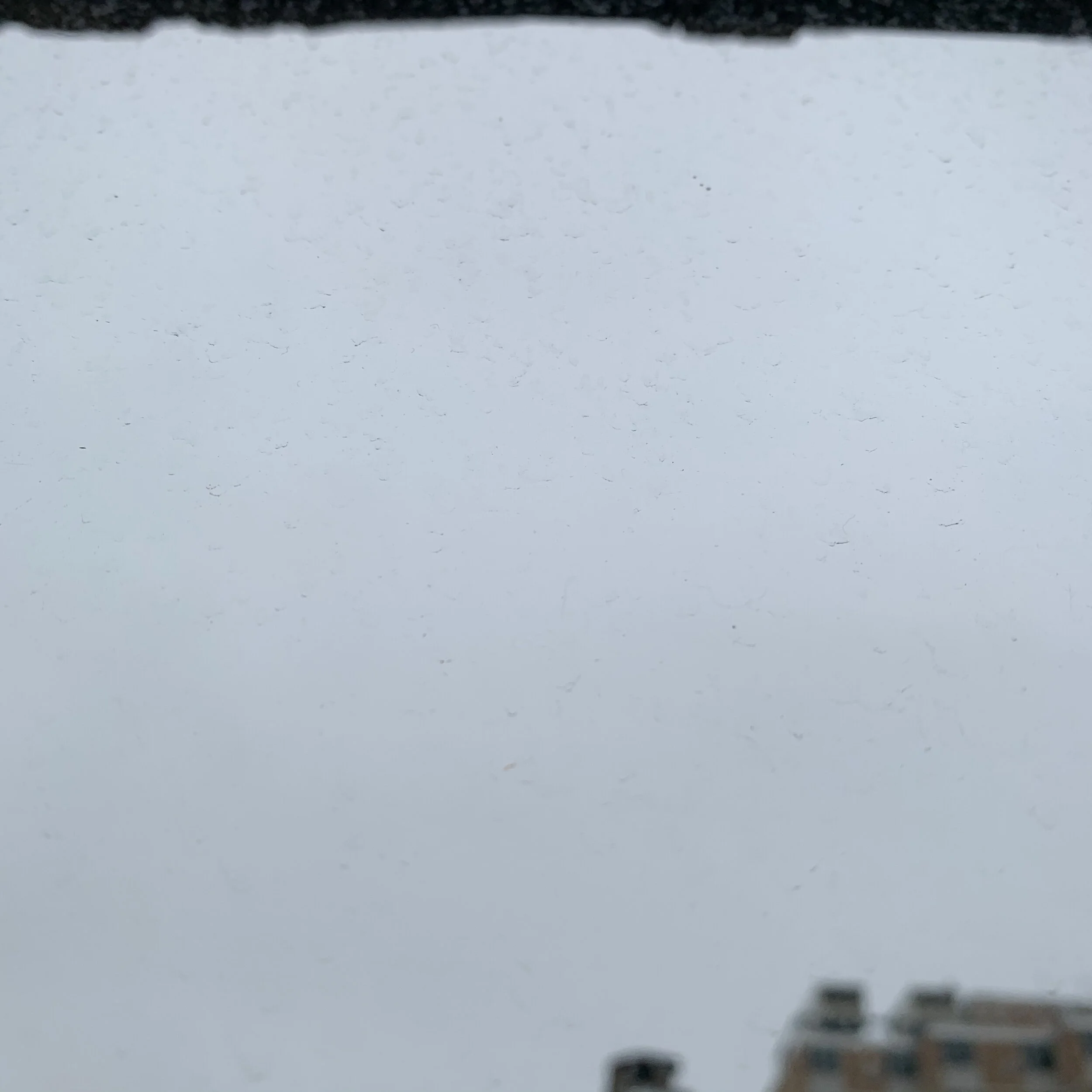 March 26.jpg