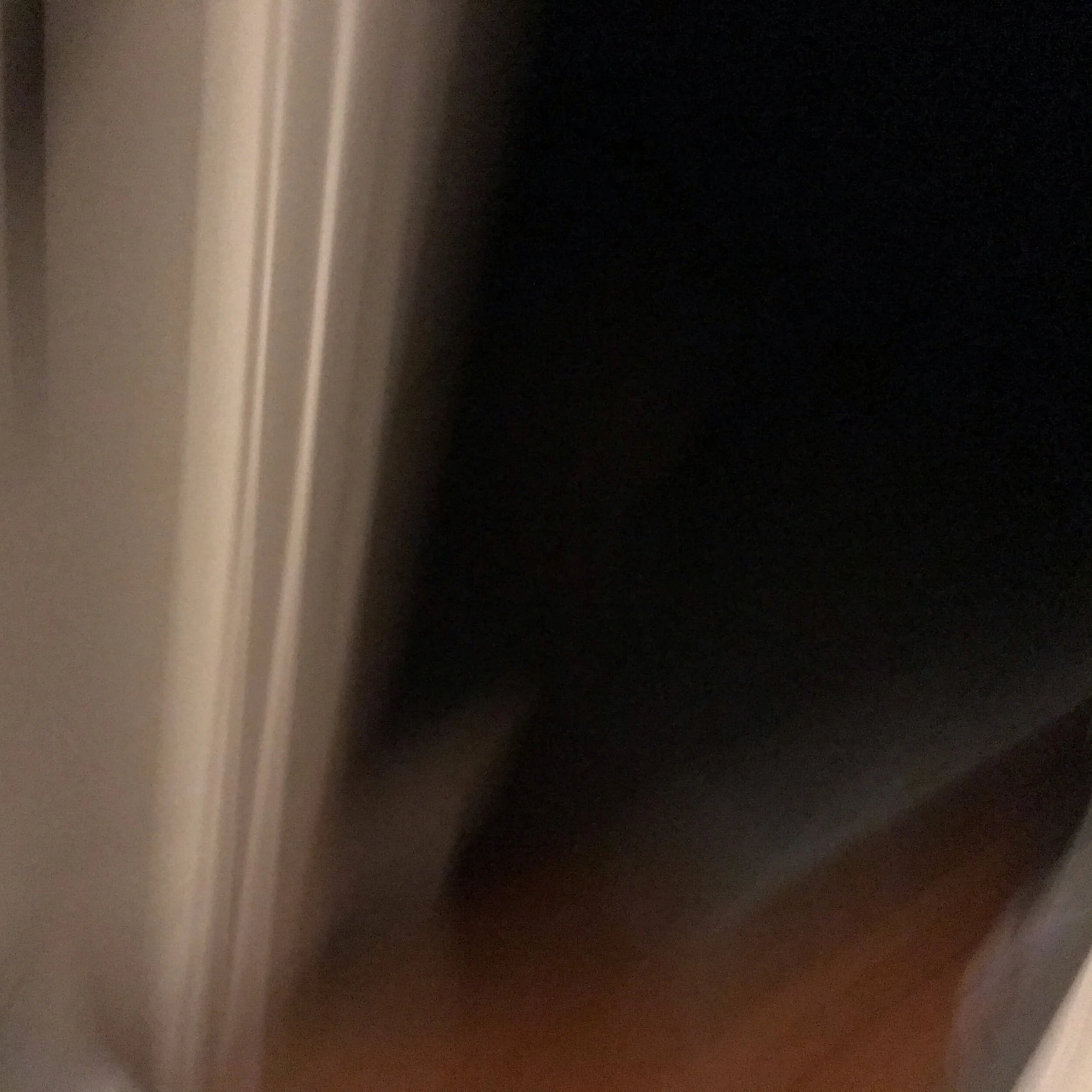 IMG_0294.jpeg