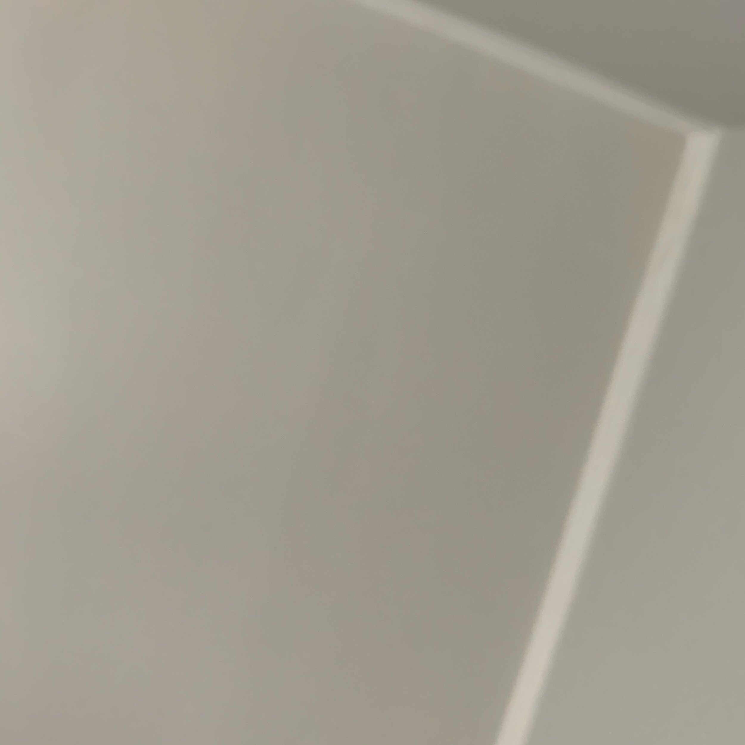 IMG_7195.jpeg