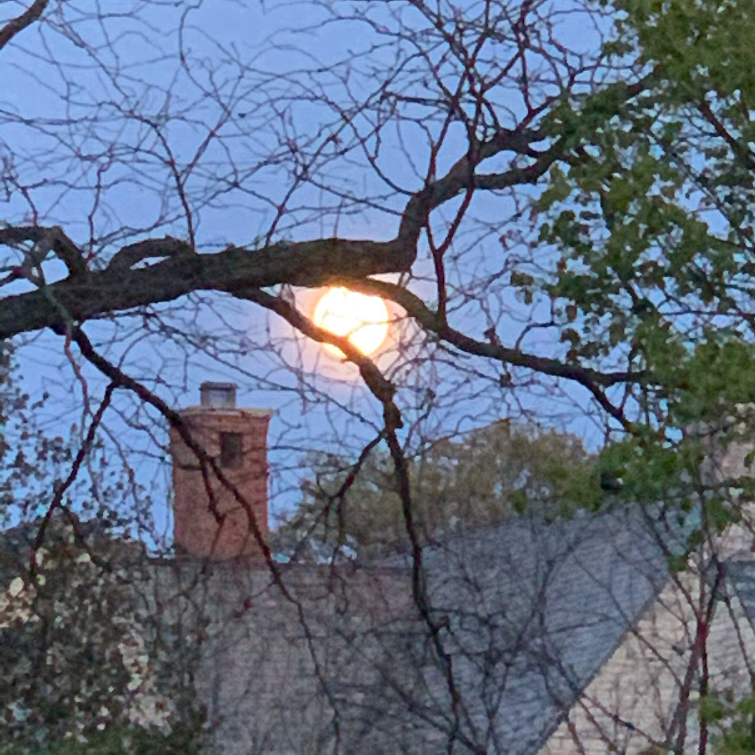 IMG_7302.jpeg