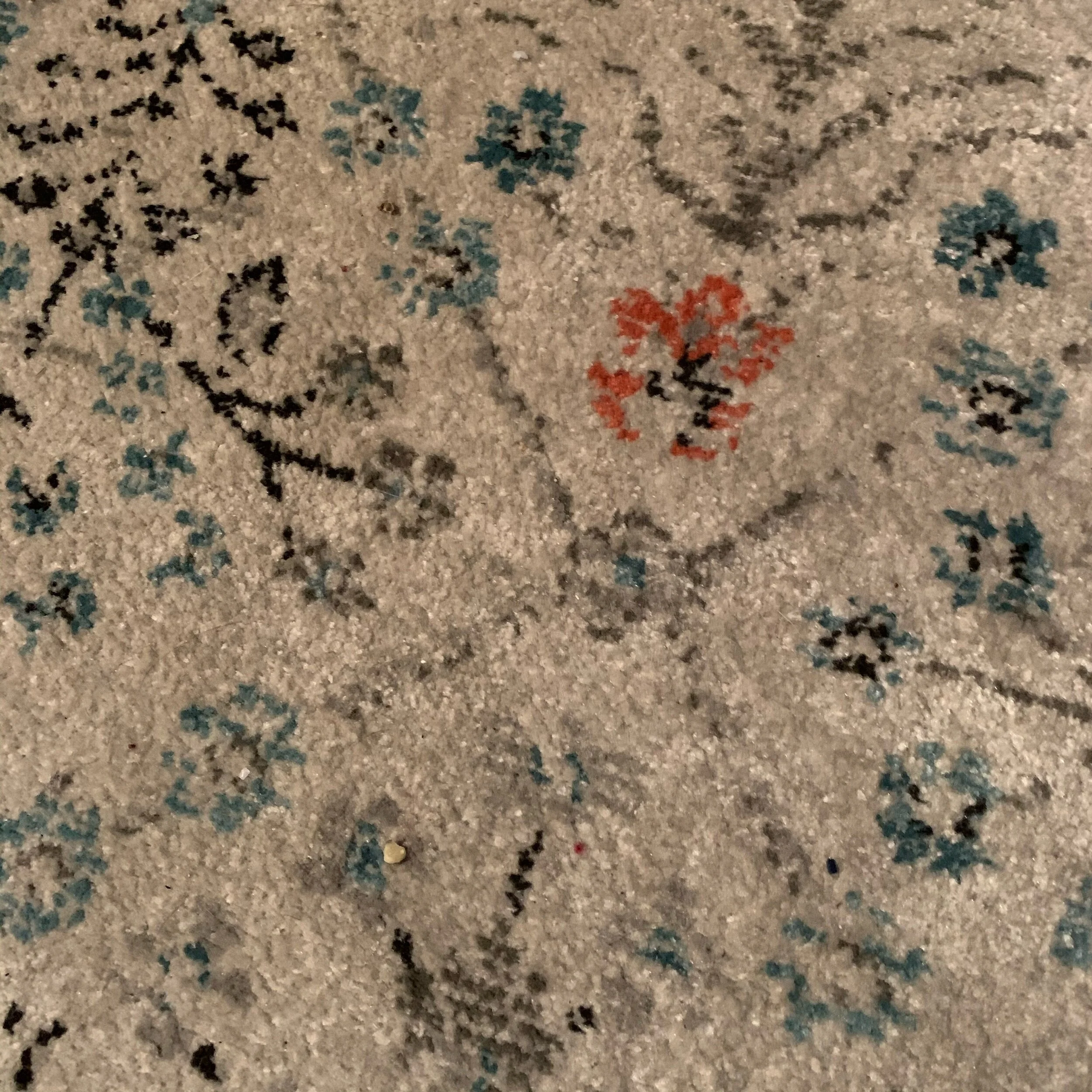 IMG_7382.jpeg