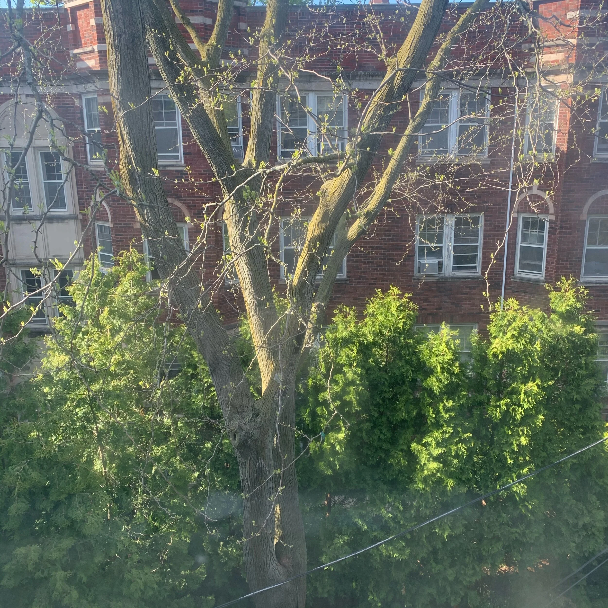 IMG_7410.jpeg