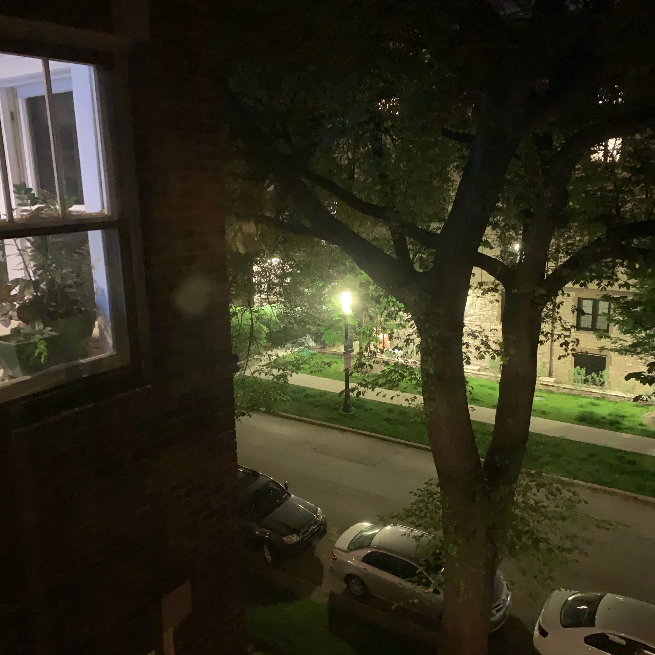 IMG_7431.jpeg
