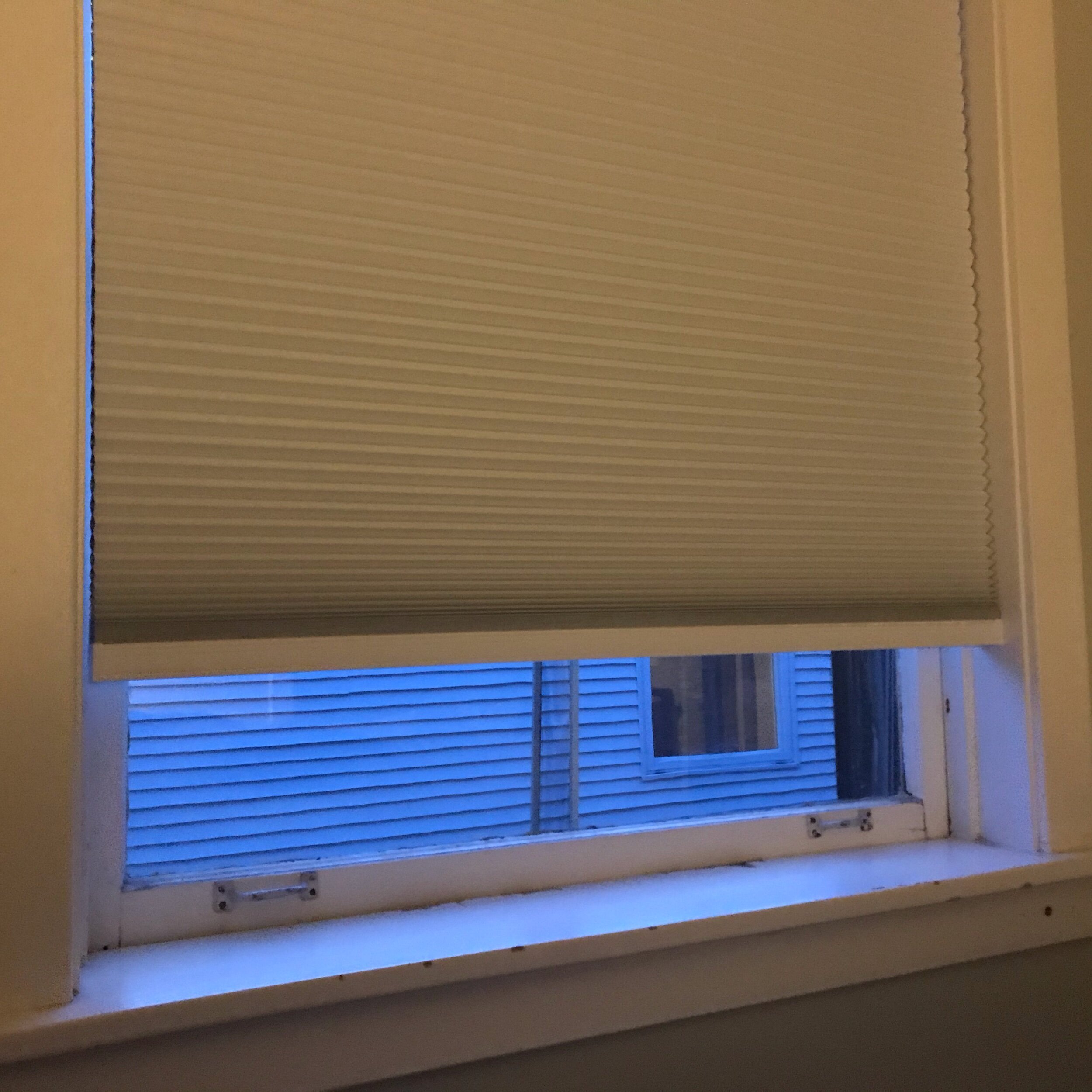 IMG_0301.jpeg