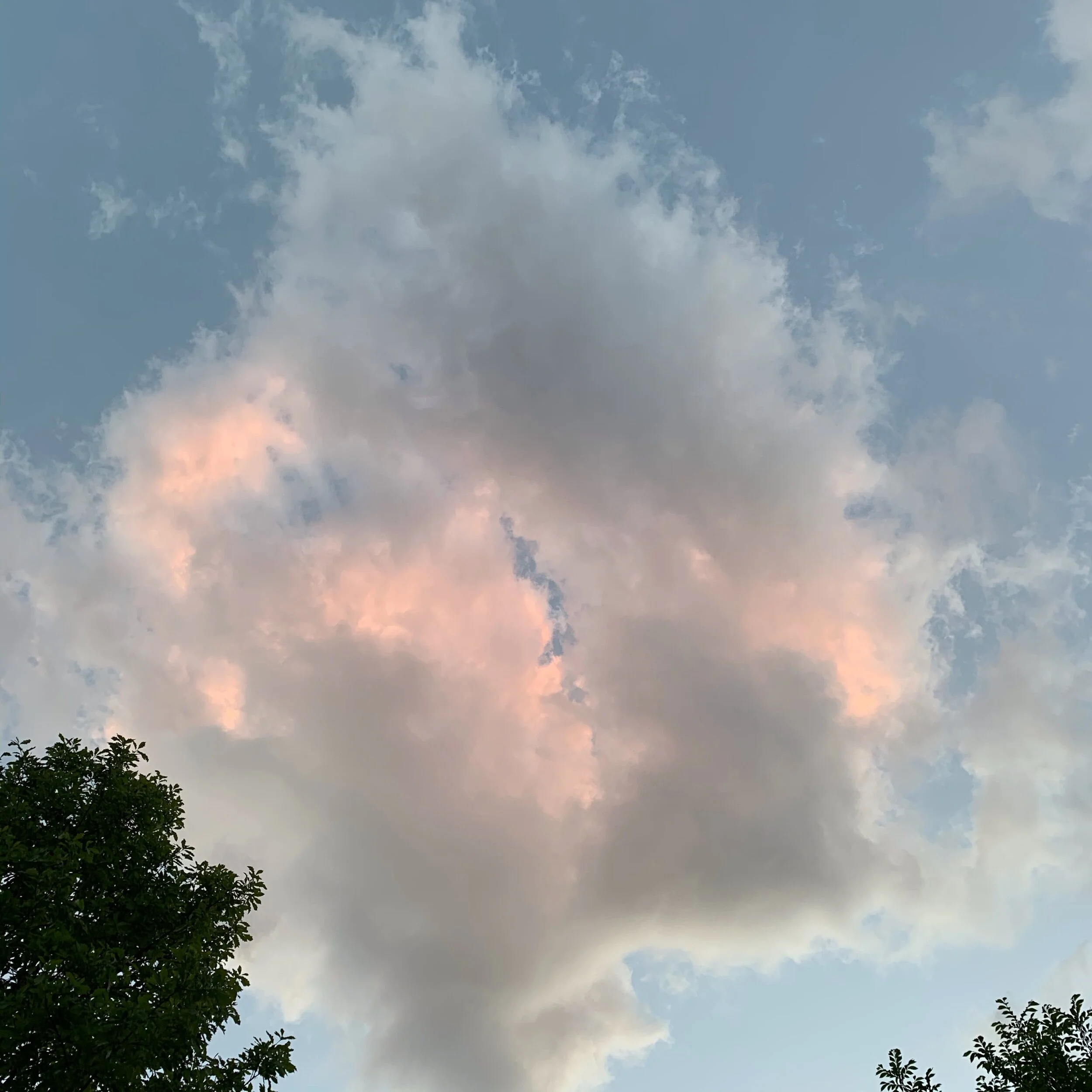 IMG_7461.jpeg