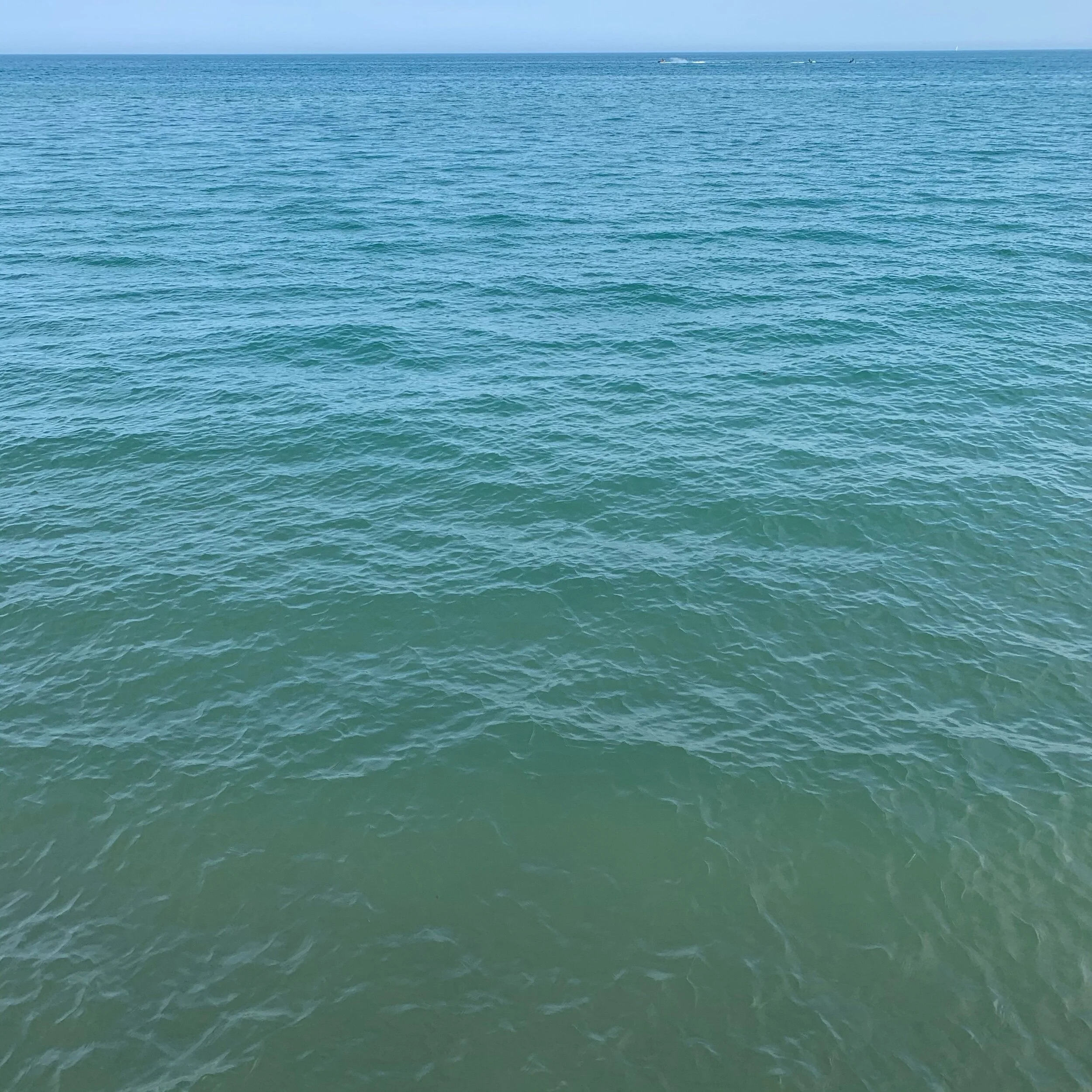 IMG_7728.jpeg