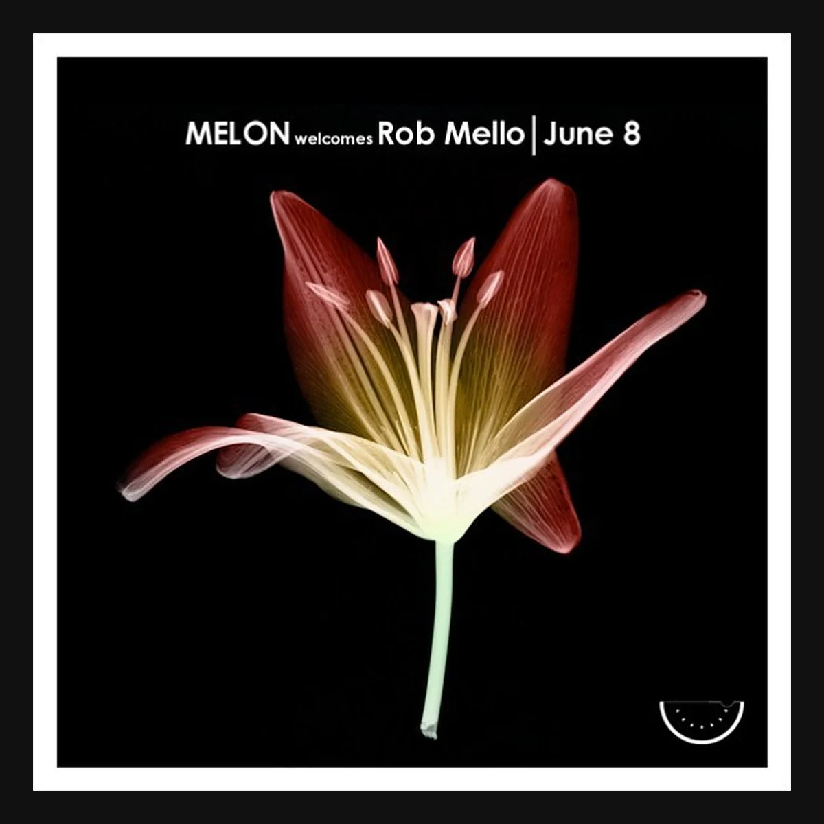 Melon — Rob Mello &amp; DJ Filter — June 8, 2002, DNA Lounge