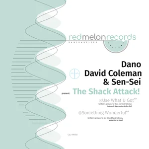 RM008 release artwork