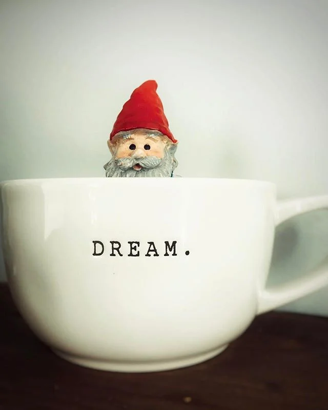 My nosy but cute office buddy. He reminds me to #dreambig #gnomelife