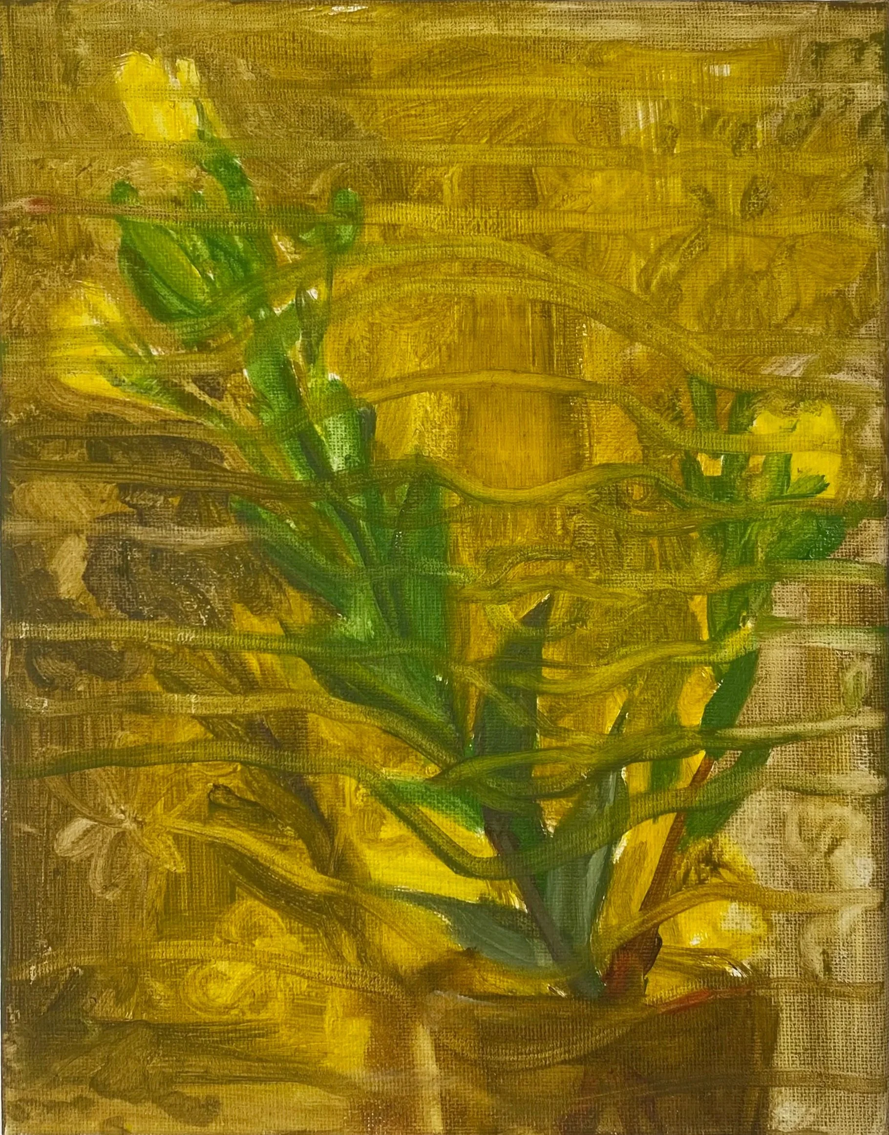 primroseface 2025 Oil on canvas 8 × 10 inches