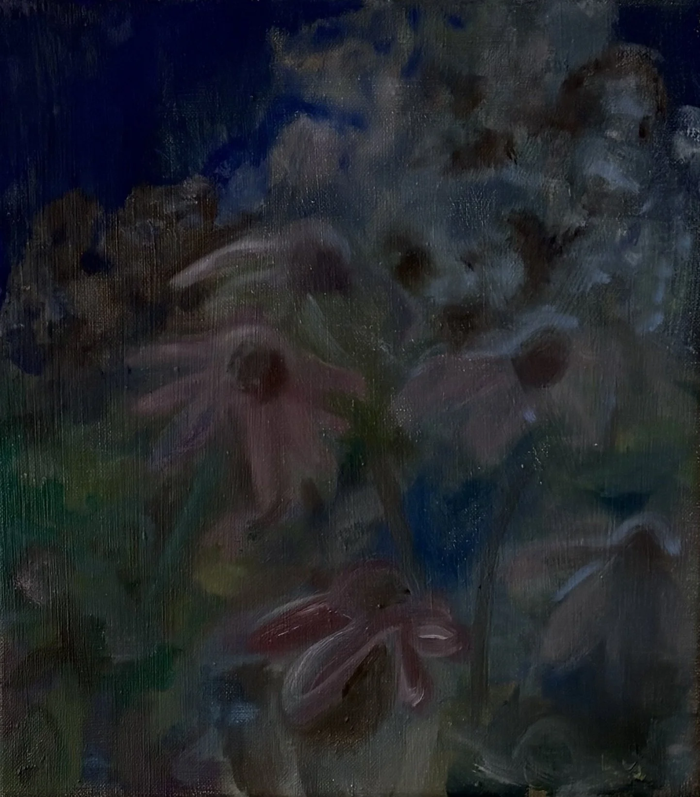 Garden at Night