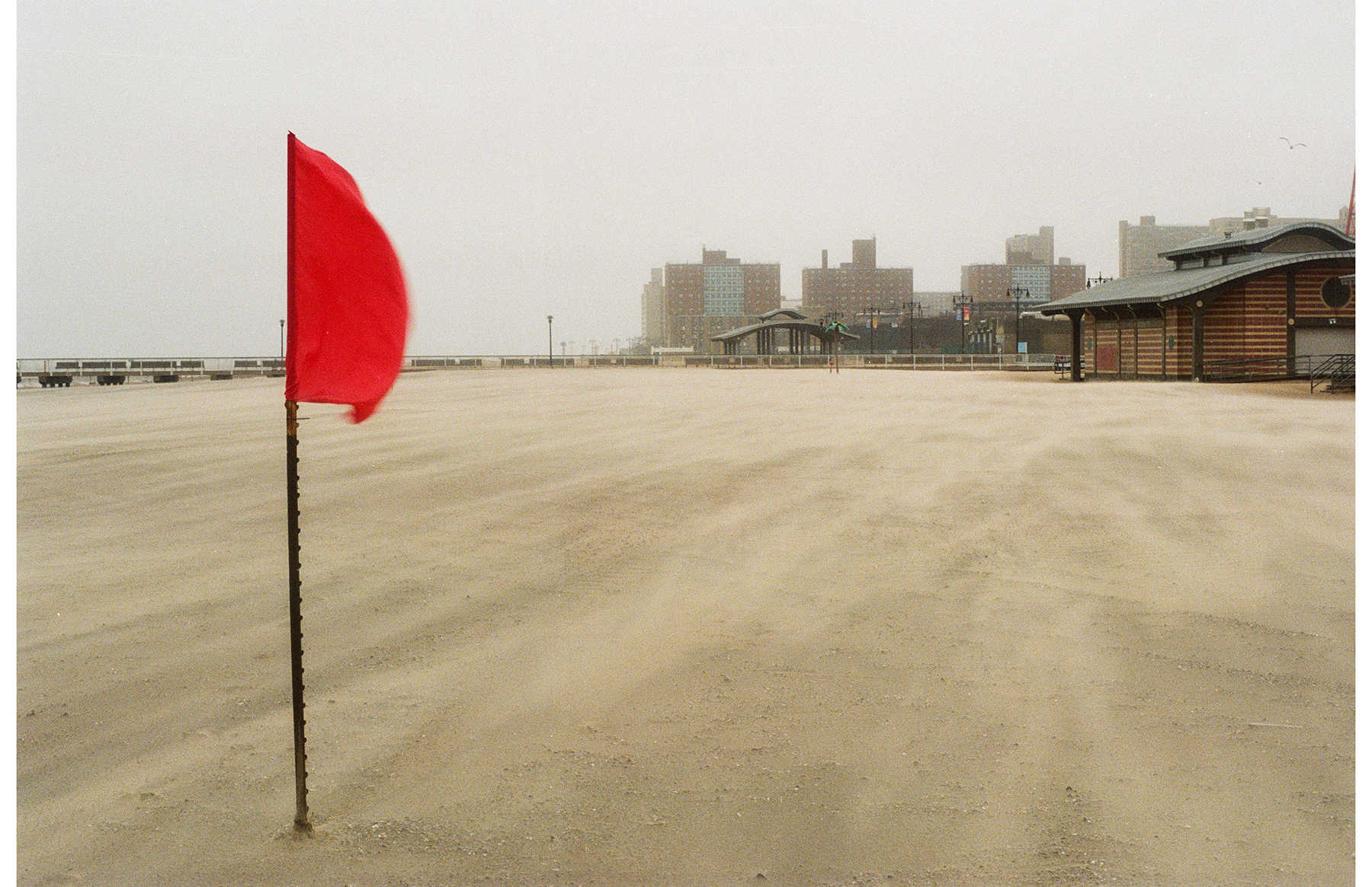 BRIGHTONBEACH_428.jpg
