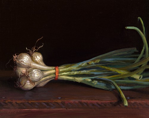 Spring Onions from Red Earth Farm, by Abbey Ryan
