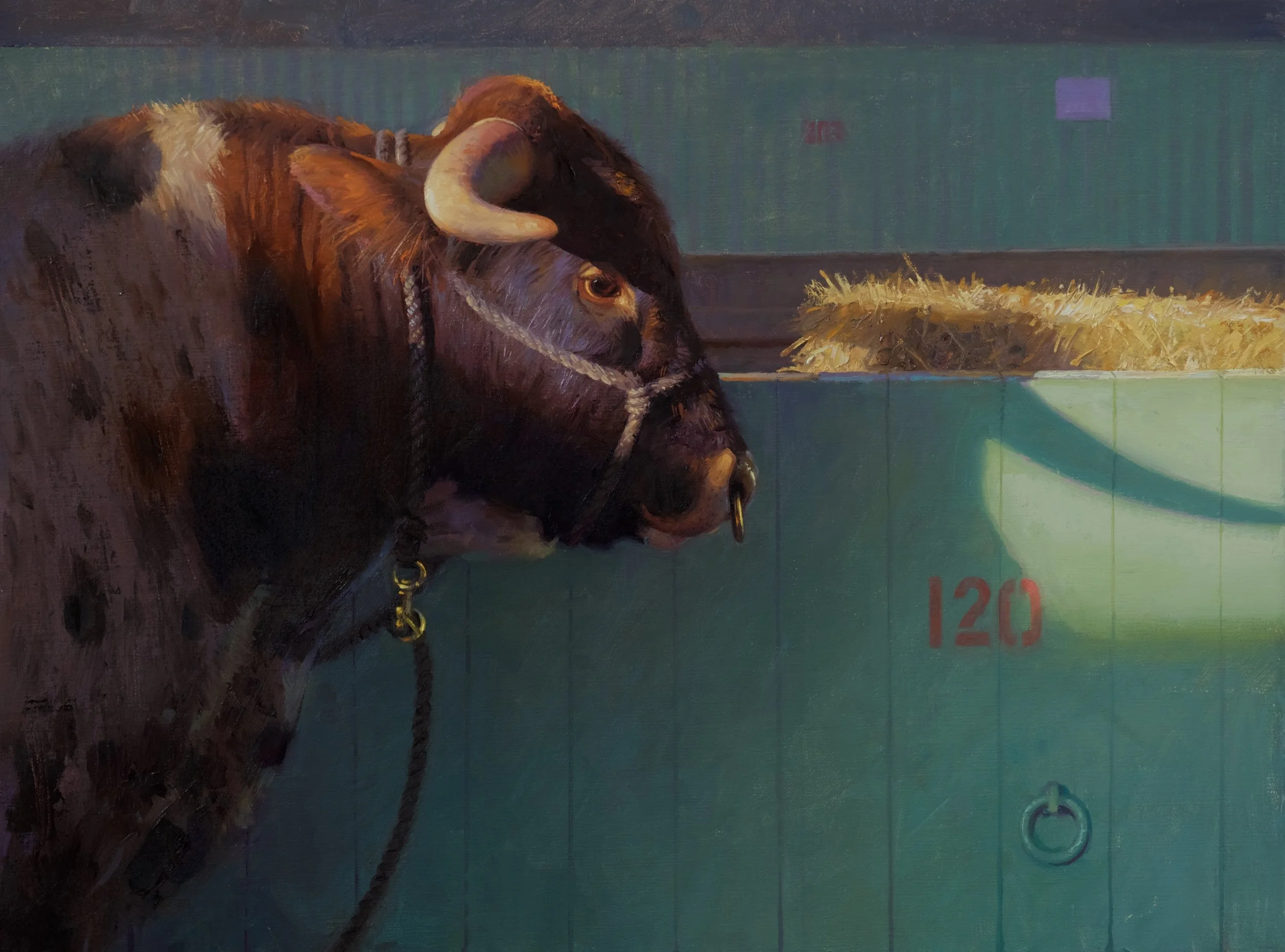 Beefmaster, 18 x 24, by James Tennison