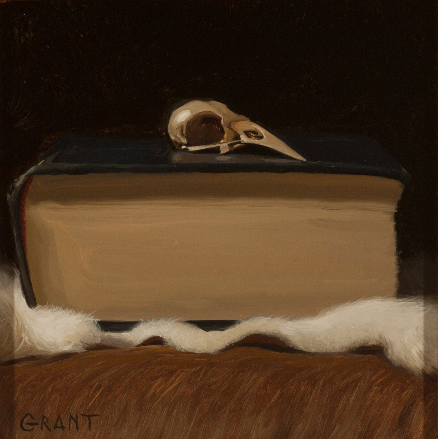 Bird Skull