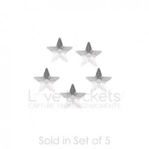 swtg06_swarovski-star-spray-crystal_1.jpg