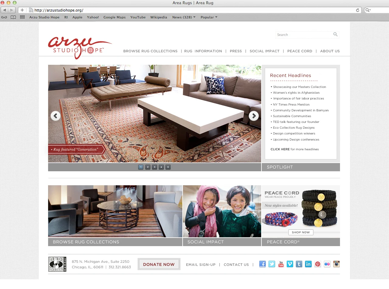 Arzu Website2.jpg