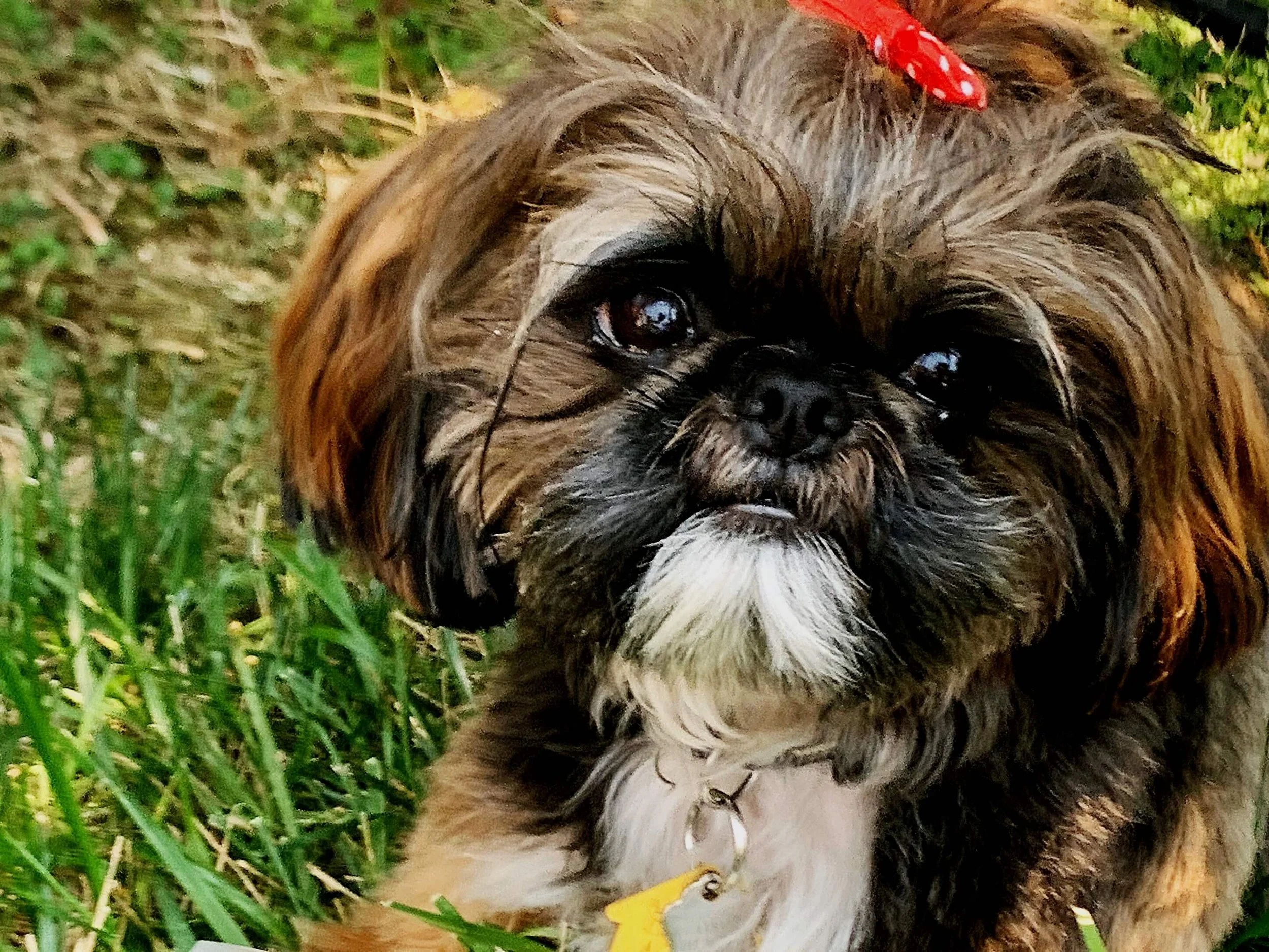 Is Your Brand Friend or Foe...?