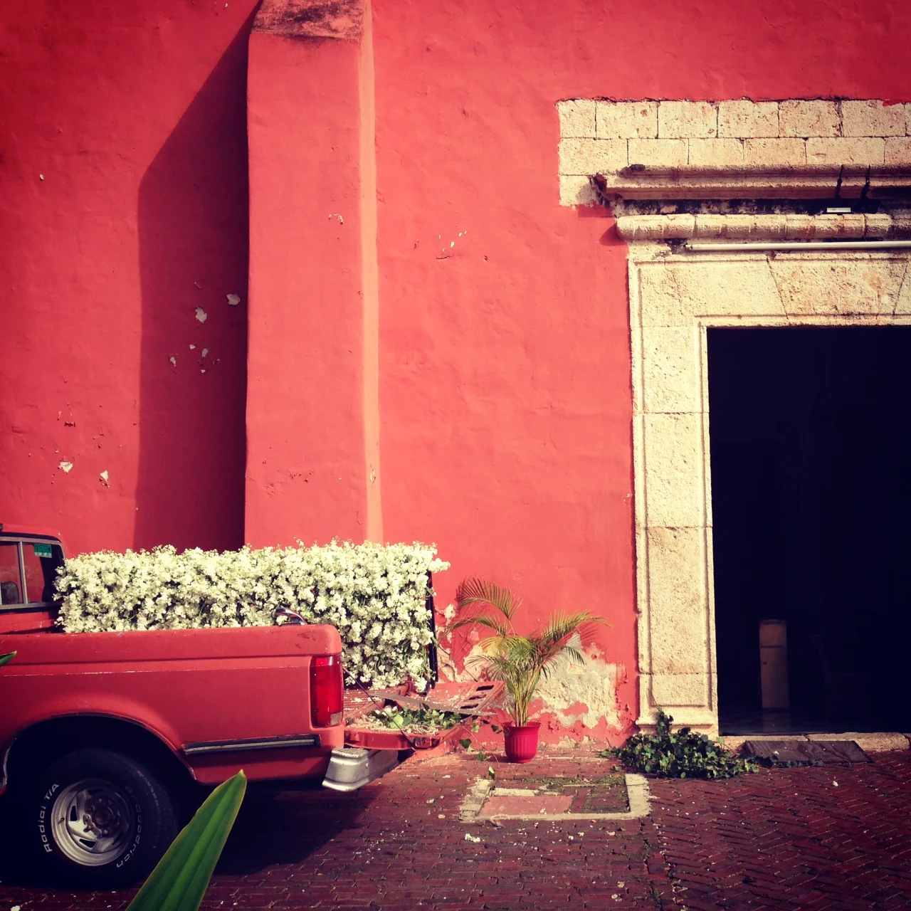 photo 5.JPG